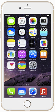 iPhone 6 Plus (A1524,A1522)